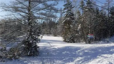 93 WHISKEY HARBOUR Road, Northern Bruce Peninsula, ON N0H 2T0