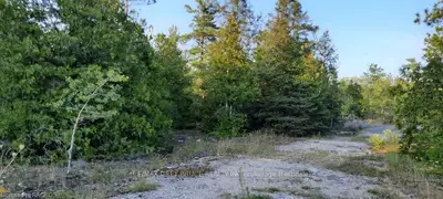 LOT 41 UNOPENED ROAD ALLOWANCE Road, Northern Bruce Peninsula, ON N0H 1Z0