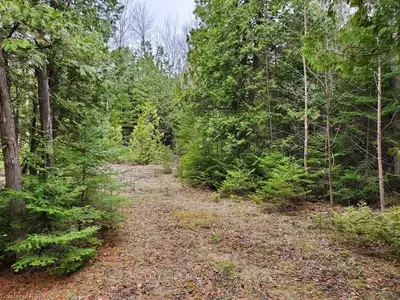 PT LT 1 STOKES BAY Road, Northern Bruce Peninsula, ON N0H 2M0
