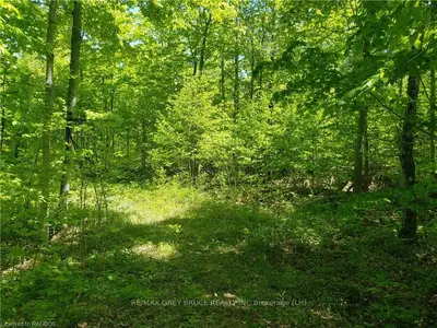 89 VICKERS Road, Northern Bruce Peninsula, ON N0H 1W0