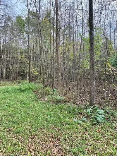 PT LOT 13 GREY COUNTY ROAD 17, Georgian Bluffs, ON N0H 2T0
