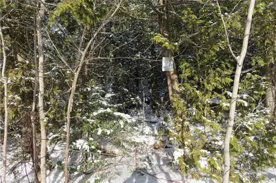 LOT 40 LAKEWOOD COUNTRY Lane, Northern Bruce Peninsula, ON N0H 1W0