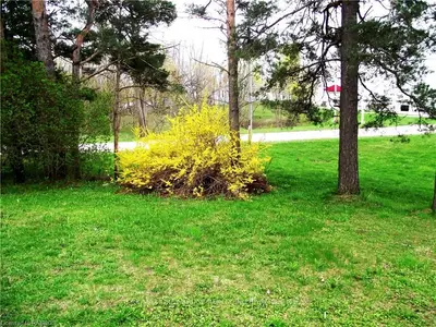 PT LT 31 1ST Avenue S, Arran-Elderslie, ON N0G 1L0