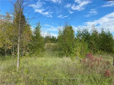 PT LT 20 BRUCE ROAD 10, Georgian Bluffs, ON N0H 1A0