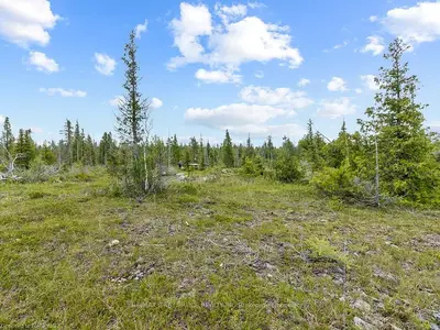 629 LINDSAY ROAD 30, Northern Bruce Peninsula, ON N0H 1Z0