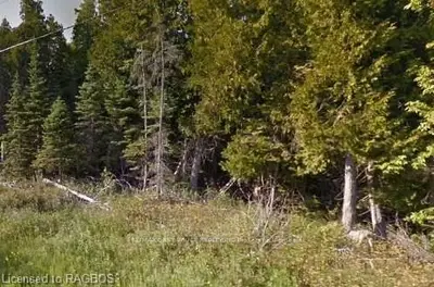 LOT 39 CAPE HURD Road, Northern Bruce Peninsula, ON N0H 2R0