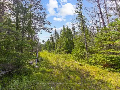 PART 1 LINDSAY ROAD 20 , Northern Bruce Peninsula, ON N0H 1Z0