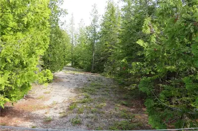 PT LT 22 WHITE CEDAR Road, Northern Bruce Peninsula, ON N0H 1Z0