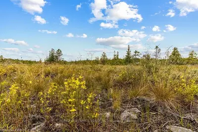 PART 34 LINDSAY ROAD 30 , Northern Bruce Peninsula, ON N0H 1Z0