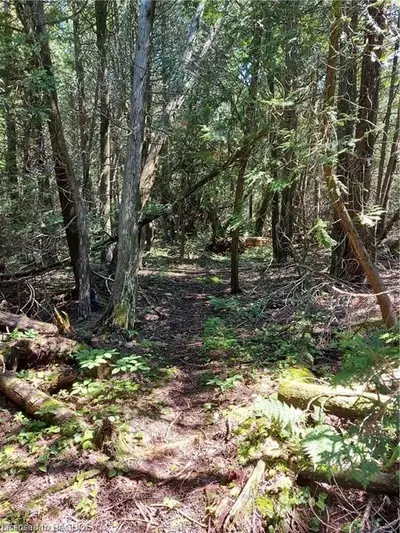 LOT 23 PLAN 3M161 COREY Crescent, Northern Bruce Peninsula, ON N0H 2R0