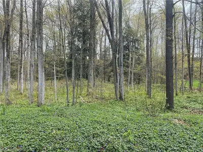 22 Blair's Trail, Huron-kinloss, On N2z 0b3
