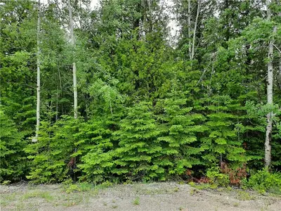 44 BRAUN Crescent, Northern Bruce Peninsula, ON N0H 2M0