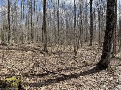 PART 3 BIG ROCK Road, Georgian Bluffs, ON N0H 2T0