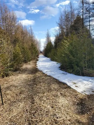 PT LT 21-22 GREY ROAD 14 , Grey Highlands, ON N0C 1E0