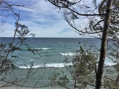 LOT 41 CARTER Road, Northern Bruce Peninsula, ON N0H 1Z0