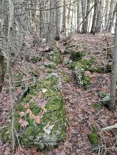 LOT 2 SUTTER Road, Northern Bruce Peninsula, ON N0H 1W0