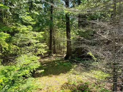 RESERVE B PL 571 DORCAS BAY Road, Northern Bruce Peninsula, ON N0H 2R0