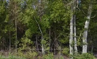 LOT 18 BRADLEY Drive, Northern Bruce Peninsula, ON N0H 1Z0
