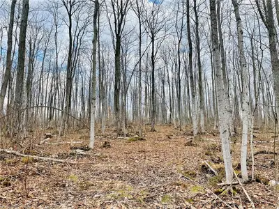 PT LT 23 TAMMYS COVE Road, Northern Bruce Peninsula, ON N0H 1Z0