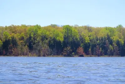PT LOT 21 6 , Northern Bruce Peninsula, ON N0H 1Z0
