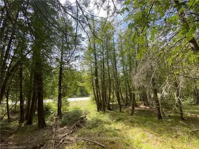 LOT 6 PLAN 462 , Northern Bruce Peninsula, ON N0H 1T0