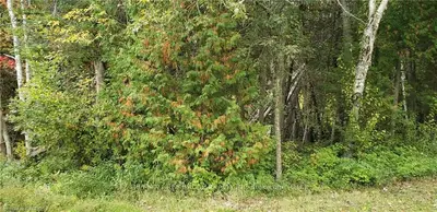 428 Huron Avenue, South Bruce Peninsula, On N0h 2g0