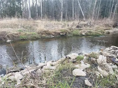 PCL 80-2 STOKES BAY Road, Northern Bruce Peninsula, ON N0H 2M0