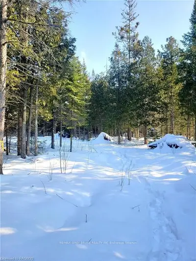 Lt 32 Ronald Street, Northern Bruce Peninsula, On N0h 1x0