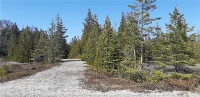 PT LT 15 SILVER SIDES POINT Road, Northern Bruce Peninsula, ON N0H 1Z0
