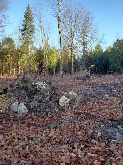 Rcp 830lot 12 Pt Lot 13 Penny Lane Lane, Grey Highlands, On N0c 1e0