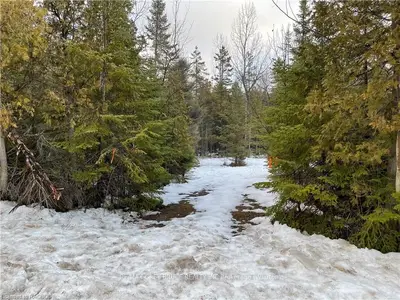 Pt Lt 5 Pike Bay Road, Northern Bruce Peninsula, On N0h 1x0