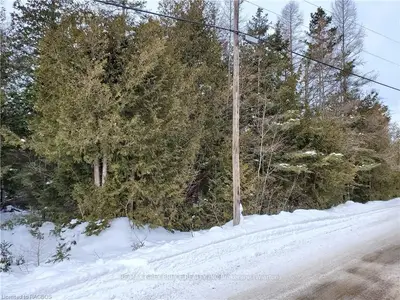 Lt 41 Widgeon Cove Road, Northern Bruce Peninsula, On N0h 2t0