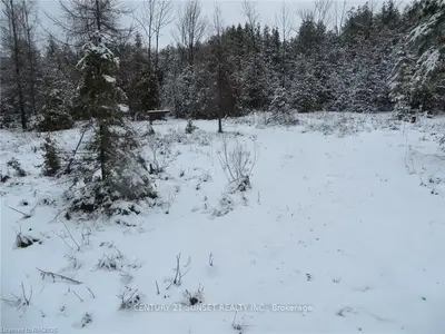 475054 TOWNSEND LAKE Road, West Grey, ON N0C 1H0