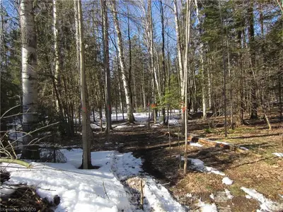 381067 17 , Georgian Bluffs, ON N0H 2T0