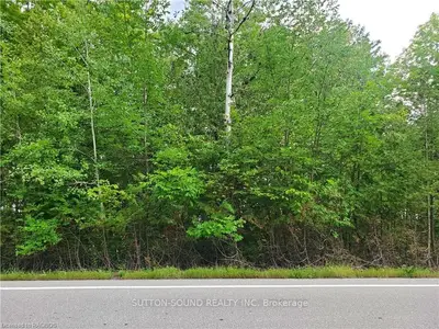 Lot 14 Grey Road 1 Road, Georgian Bluffs, On N0h 2t0