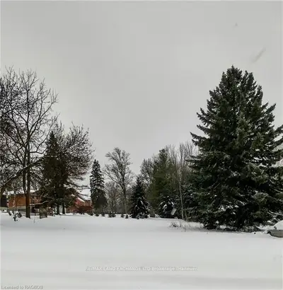 24 Queen Street W, Brockton, On N0g 1s0