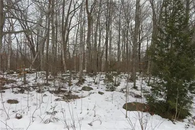 Pt Lt 22 Maple Drive, Northern Bruce Peninsula, On N0h 1z0