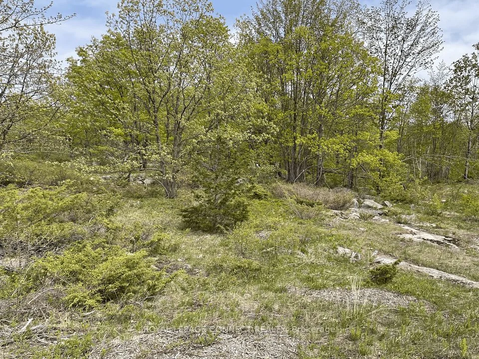 Pt Lt 12 Con 7 Kaladar , Addington Highlands, ON K0K 1Z0