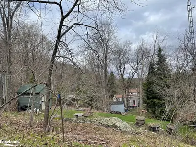 18 Town Line Road W, Huntsville, On P1h 1s6
