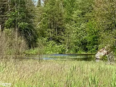 Vacant Land in Parry Sound Remote Area