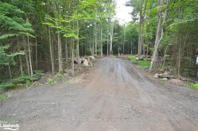 0 Birch Narrows Road, Dysart Et Al, On K0m 1s0