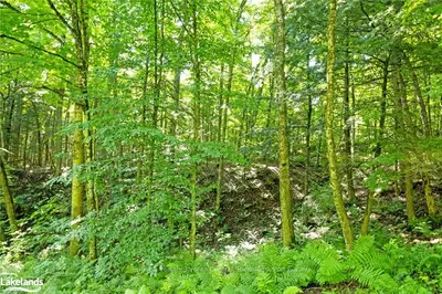 Vacant Land in Bracebridge