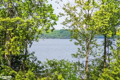 3035 Muskoka Rd 117, Lake Of Bays, On, P0b 1a0