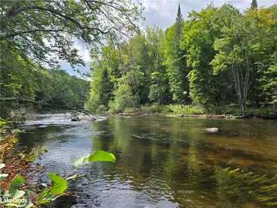 Vacant Land in Minden Hills