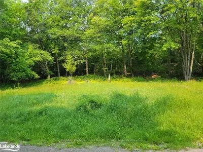 4 Mount Vernon Trail 8, Huntsville, On P1h 1e3