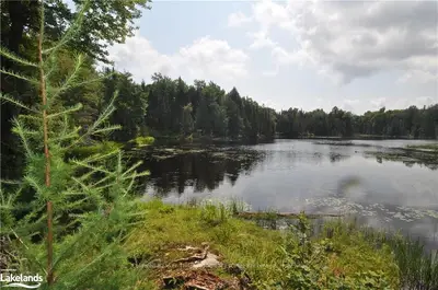 1370 Limberlost Road, Lake Of Bays, On P1h 2j6