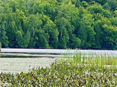 151 Maple Drive, Parry Sound Remote Area, On P0h 1s0