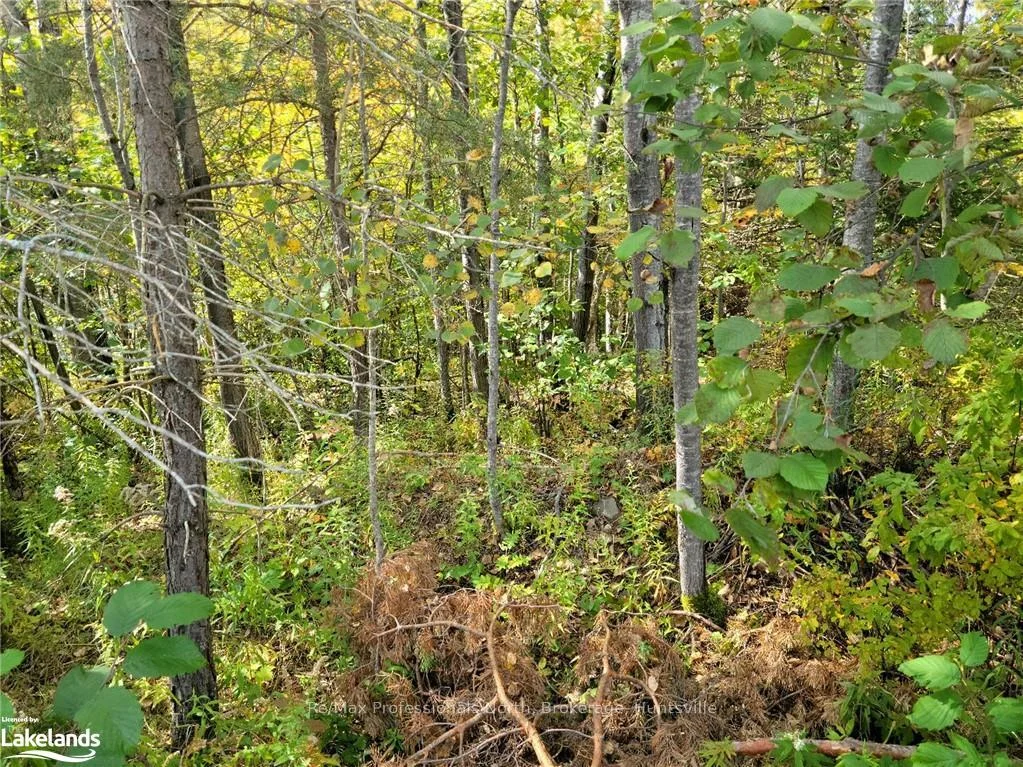 4 FOX RUN Lane 32, Huntsville, ON P1H 1E3