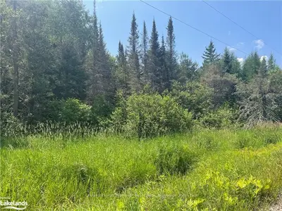 0 North Pickerel Lake Road Part 1, Armour, On P0a 1c0