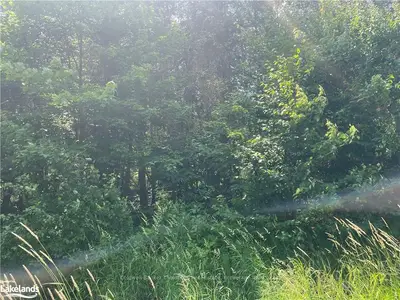 Vacant Land in Armour